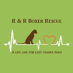 shelter logo