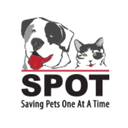 SPOT (Saving Pets One at a Time)