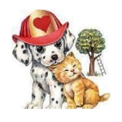 Faith's Animal Rescue