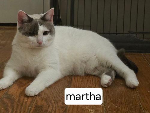 martha