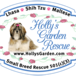 Holly's Garden Rescue