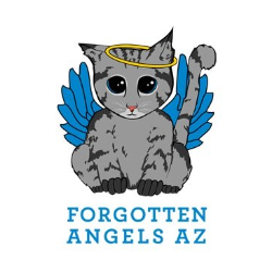 shelter logo